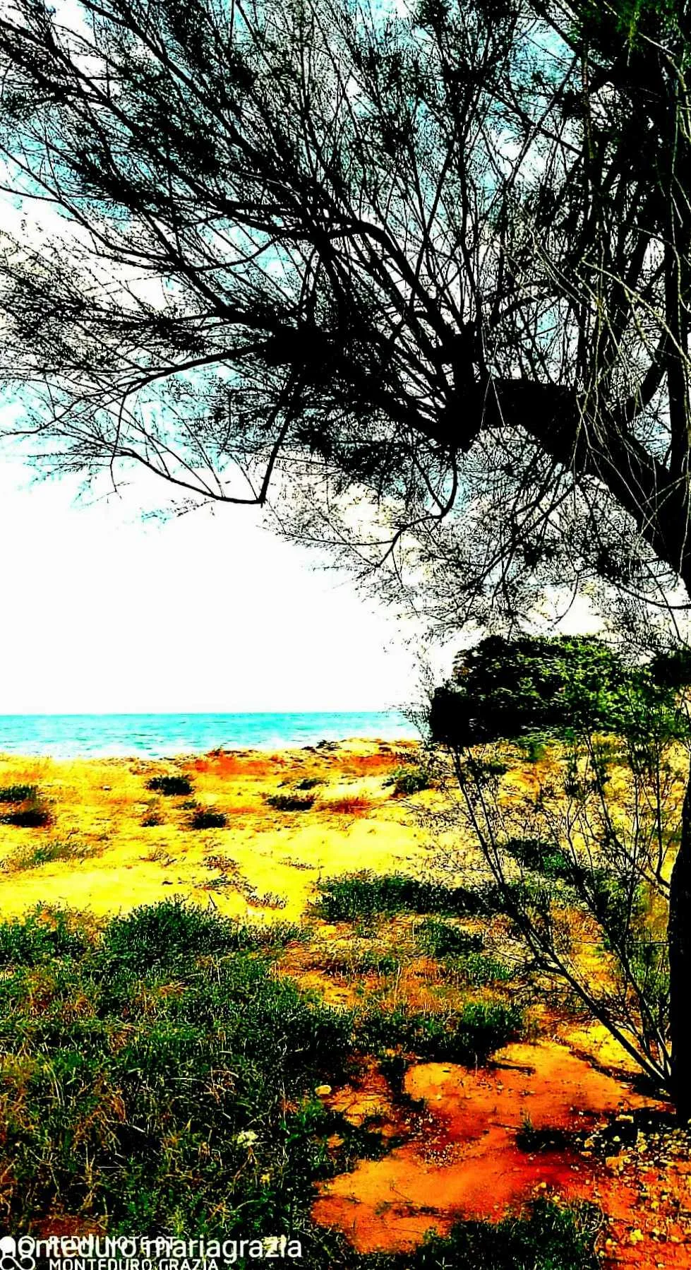 Torre San Gennaro – Foto 17