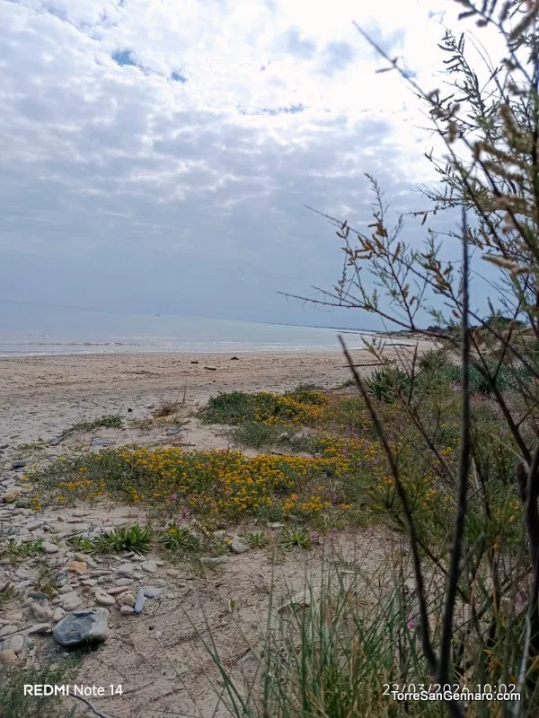 Torre San Gennaro – Foto 55
