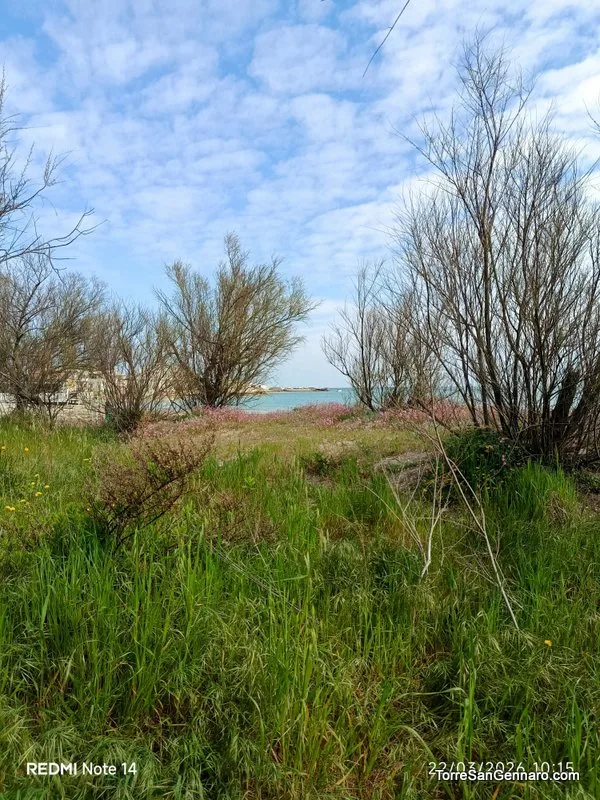 Torre San Gennaro – Foto 61